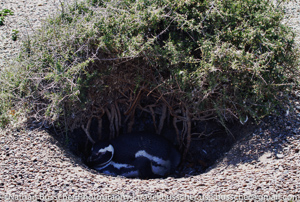 2011 Antarctica Expedition